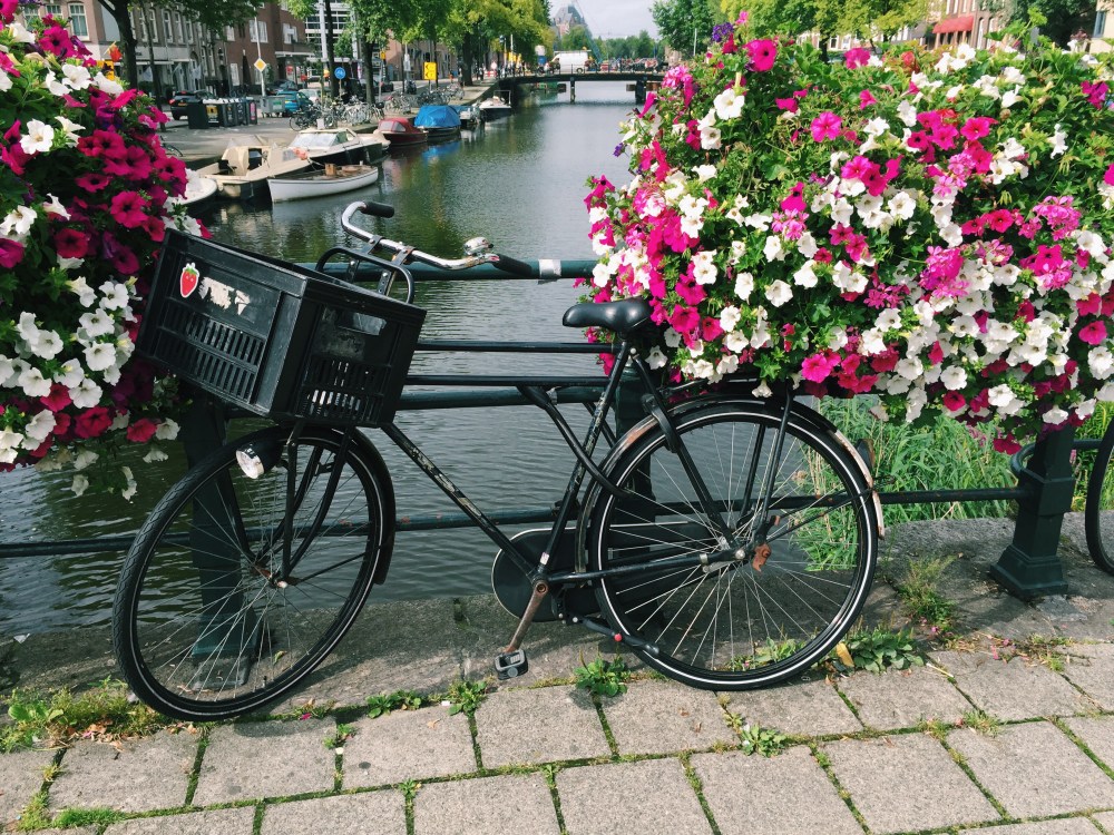 Processed with VSCO with c1 preset