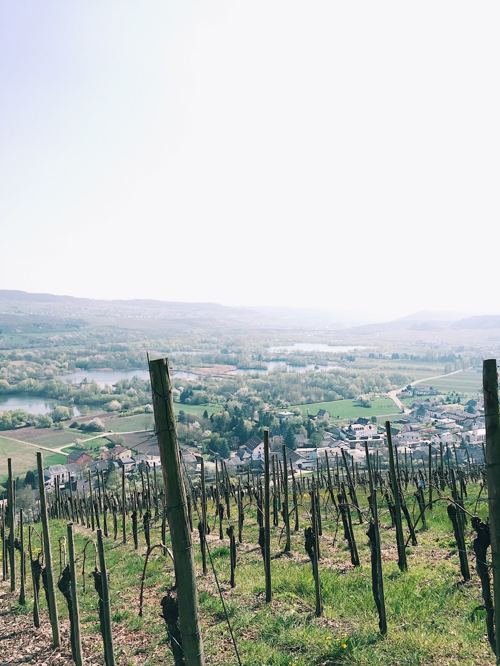 Processed with VSCO with c1 preset