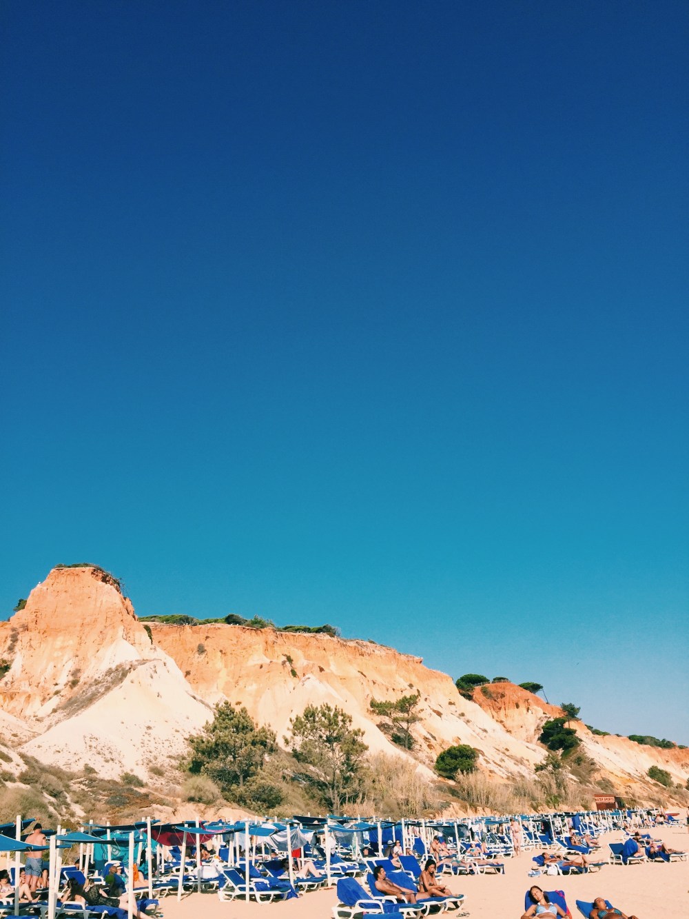 Processed with VSCO with c1 preset